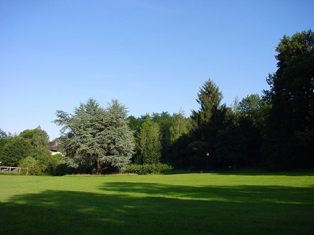 Chambres D'Hotes " Le Magnolia " (Adults Only) Sainte-Croix-aux-Mines Exterior foto