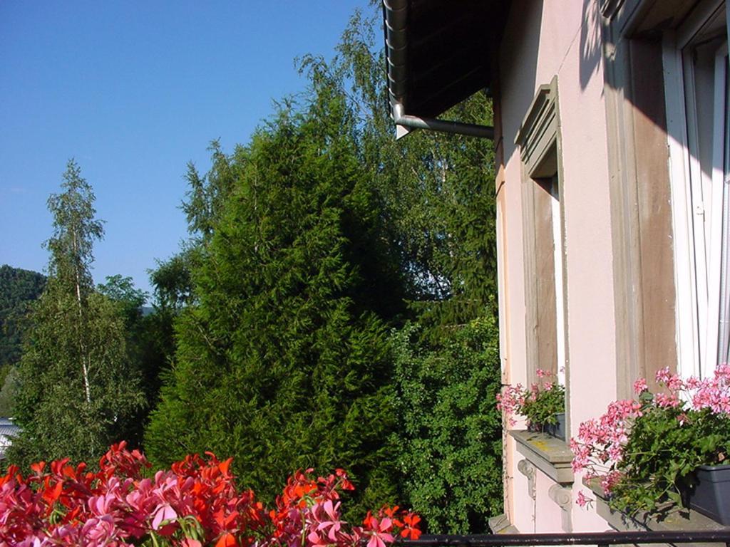 Chambres D'Hotes " Le Magnolia " (Adults Only) Sainte-Croix-aux-Mines Exterior foto