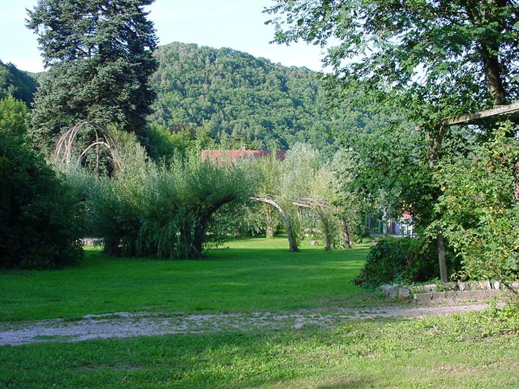 Chambres D'Hotes " Le Magnolia " (Adults Only) Sainte-Croix-aux-Mines Exterior foto