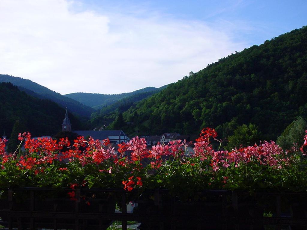 Chambres D'Hotes " Le Magnolia " (Adults Only) Sainte-Croix-aux-Mines Exterior foto