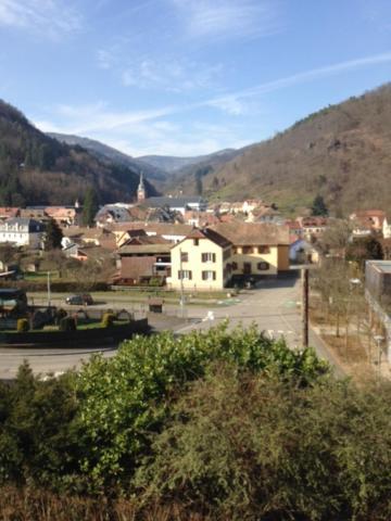 Chambres D'Hotes " Le Magnolia " (Adults Only) Sainte-Croix-aux-Mines Exterior foto