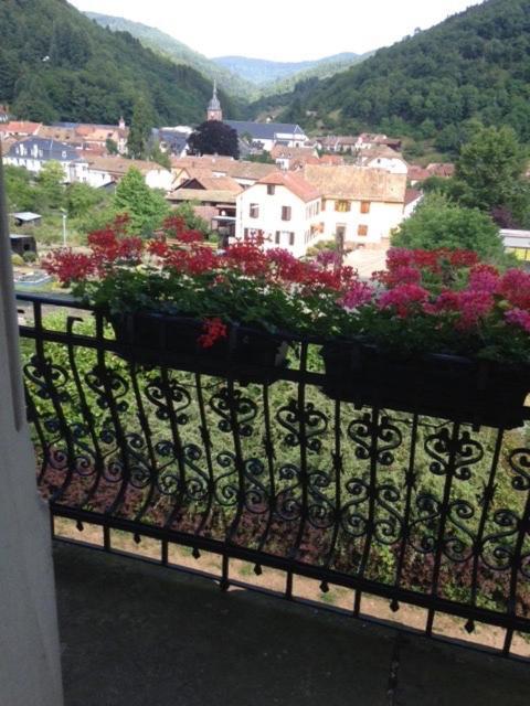 Chambres D'Hotes " Le Magnolia " (Adults Only) Sainte-Croix-aux-Mines Exterior foto