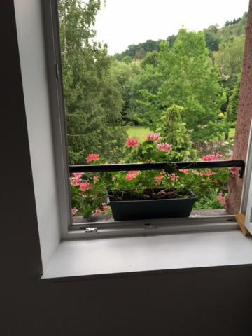 Chambres D'Hotes " Le Magnolia " (Adults Only) Sainte-Croix-aux-Mines Exterior foto