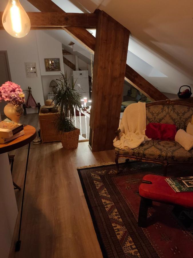 Chambres D'Hotes " Le Magnolia " (Adults Only) Sainte-Croix-aux-Mines Exterior foto